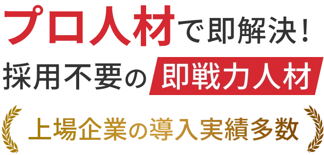プロ人材で即解決！採用不要の即戦力人材、上場企業の導入実績多数。